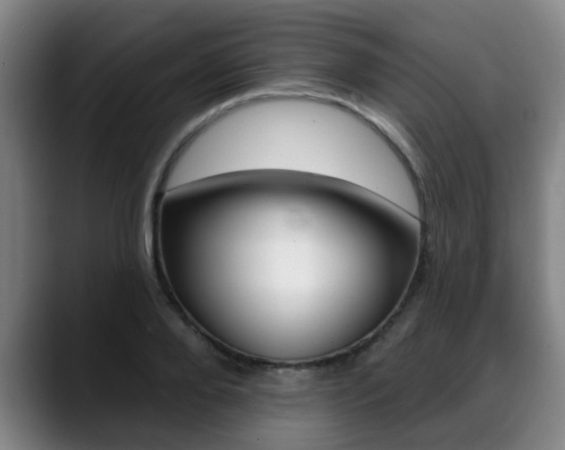 X0000089420888200706151001