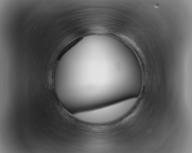 X0000089420889200706151001