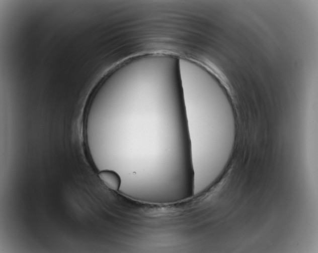 X0000089420891200706151001
