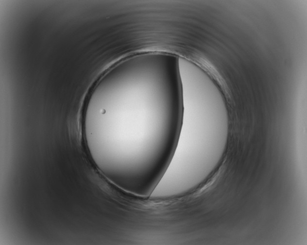 X0000089420892200706151001