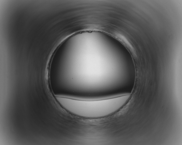 X0000089420900200706151001