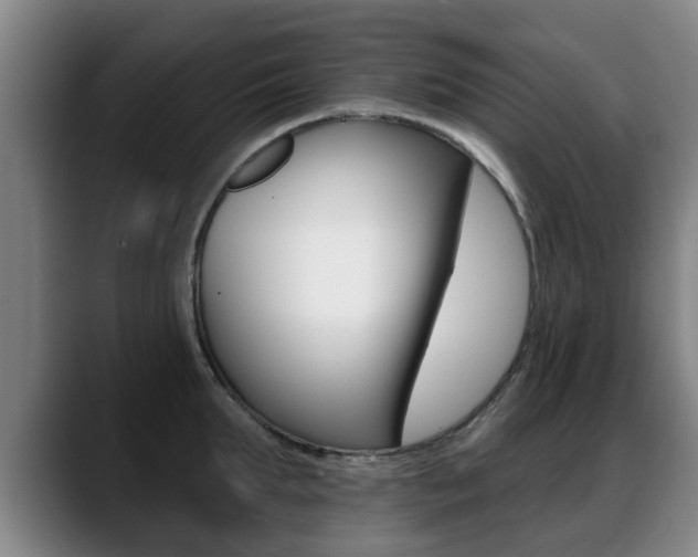 X0000089420903200706151001