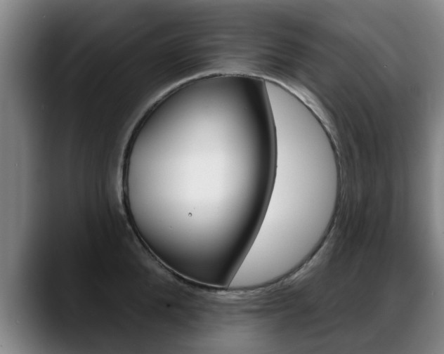 X0000089420904200706151001