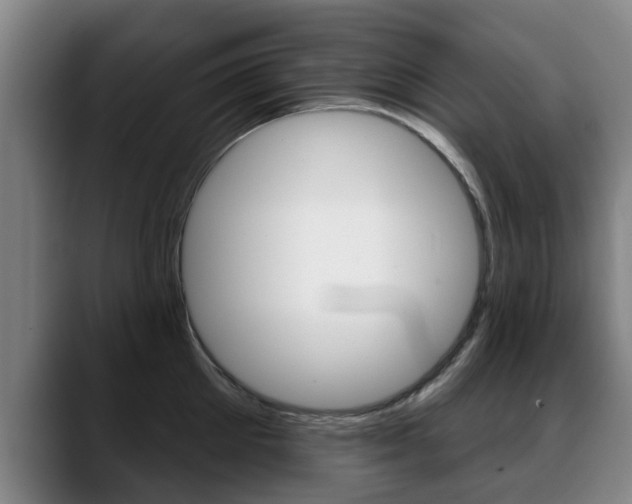 X0000089420905200706151001