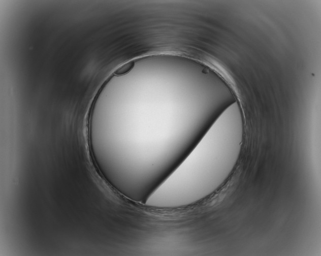 X0000089420907200706151001