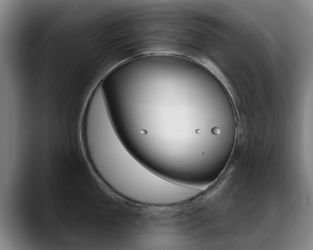 X0000089420909200706151001