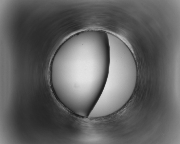 X0000089420911200706151001