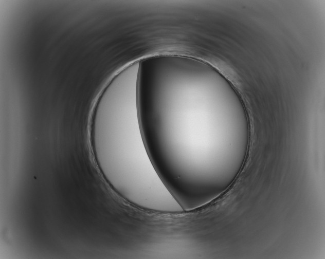 X0000089420912200706151001