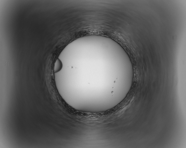 X0000089420913200706151000