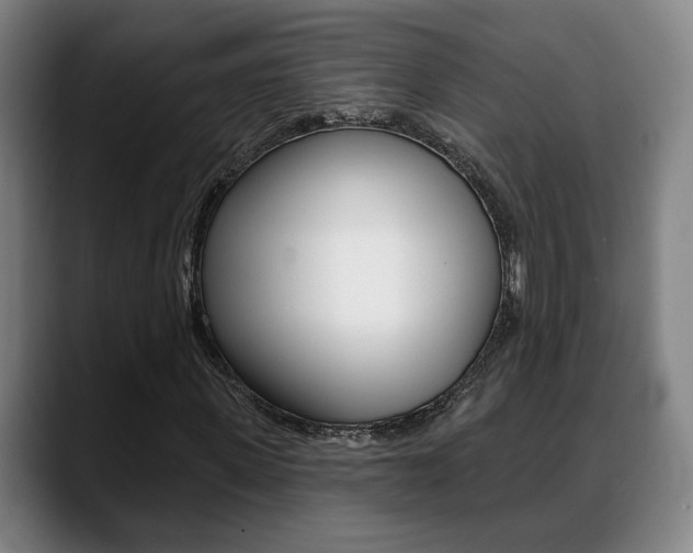 X0000089420915200706151000