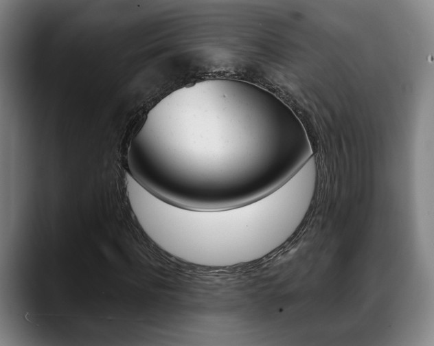 X0000089420916200706151000