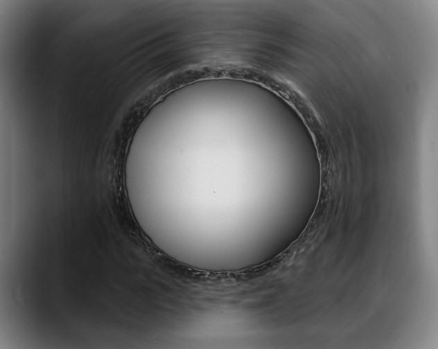 X0000089420919200706151000
