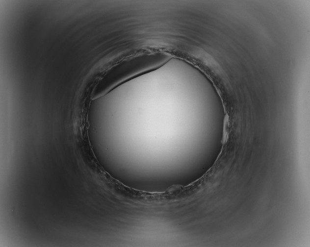 X0000089420920200706151000