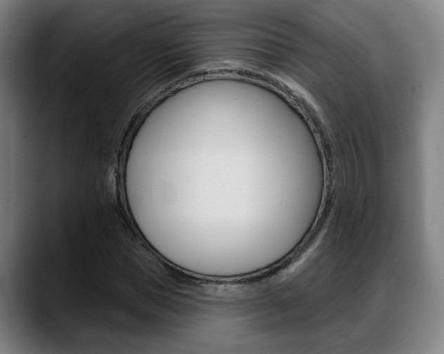 X0000089420921200706151000