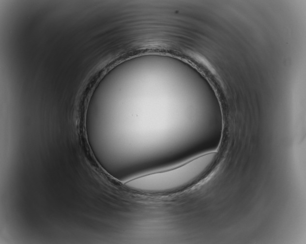 X0000089420922200706151001