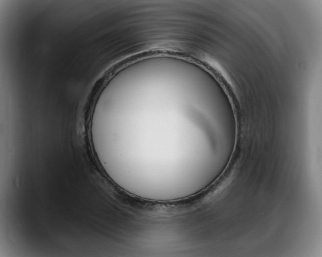 X0000089420923200706151001