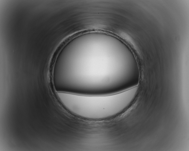 X0000089420924200706151001