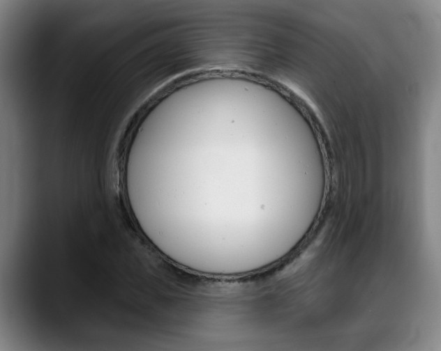 X0000089420925200706151001
