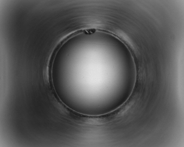 X0000089420932200706151001