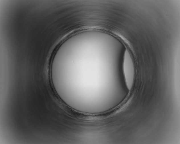 X0000089420933200706151001