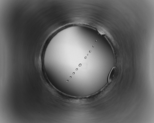 X0000089420936200706151001