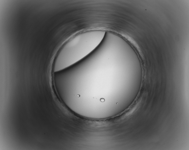 X0000089420941200706151001