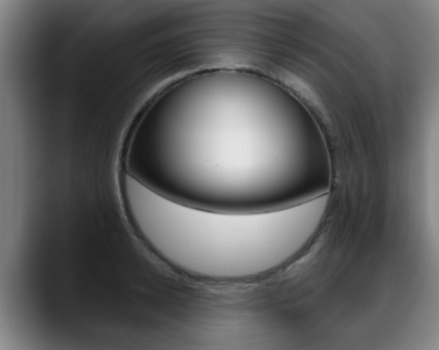 X0000089420942200706151001