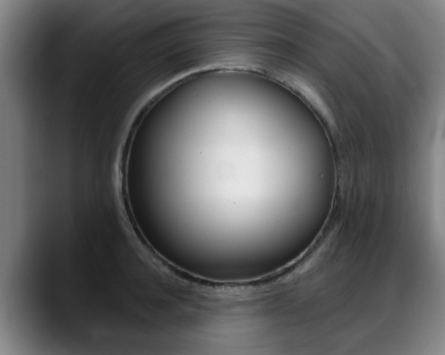 X0000089420944200706151001