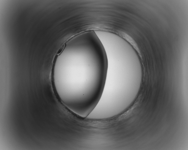 X0000089420946200706151001