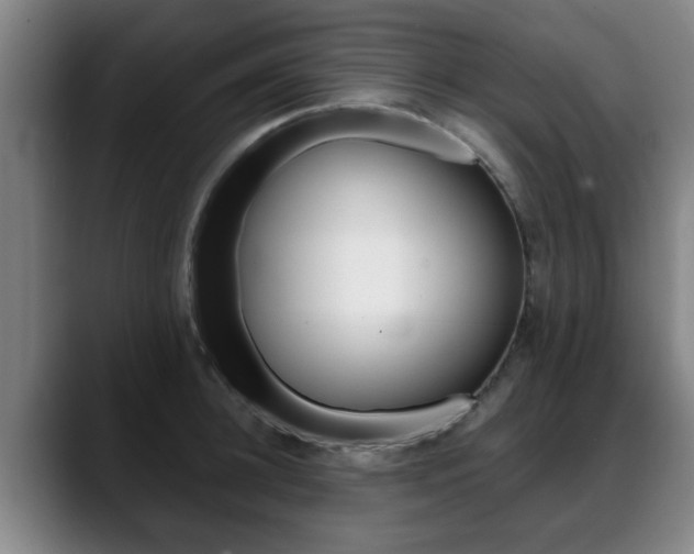 X0000089420948200706151001