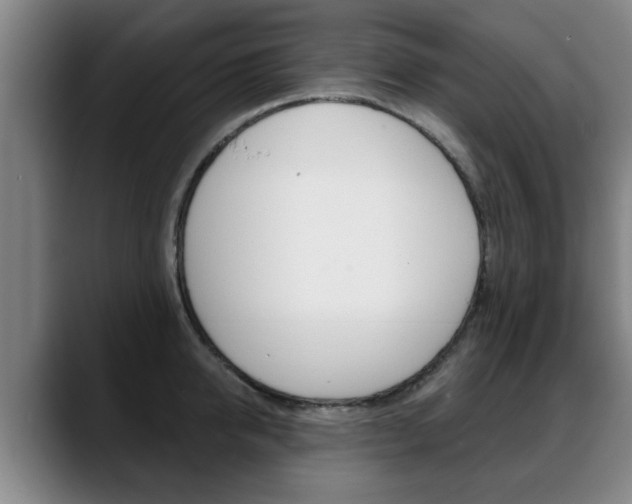 X0000089420950200706151001