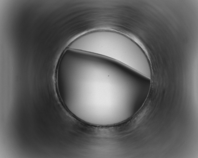 X0000089420951200706151001