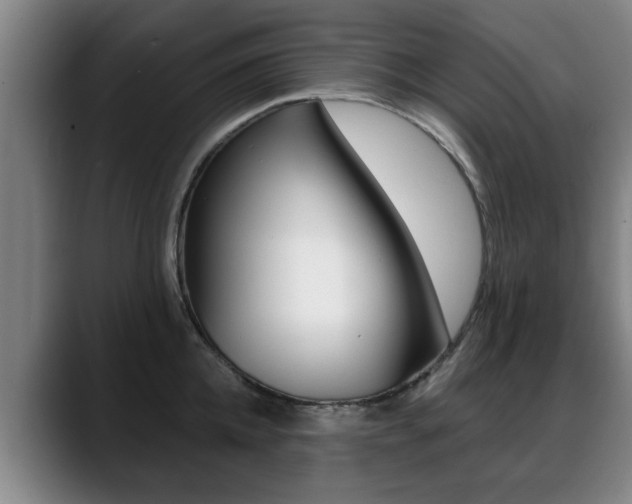 X0000089420952200706151001