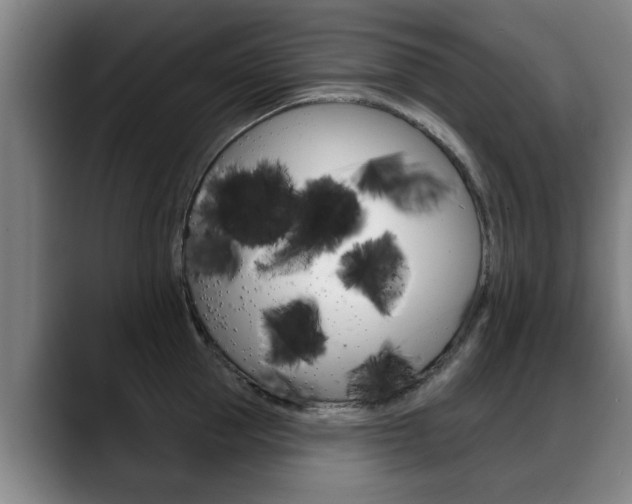 X0000089420953200706151001