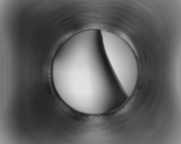 X0000089420954200706151001