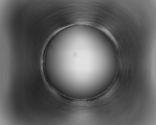 X0000089420955200706151001