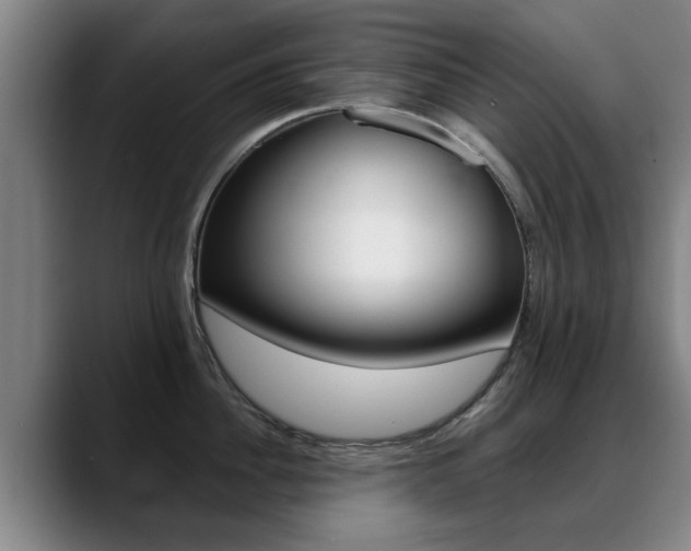 X0000089420956200706151001