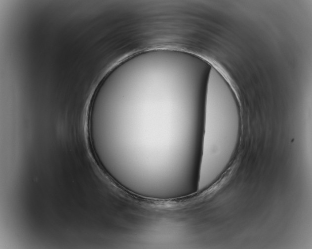 X0000089420957200706151001
