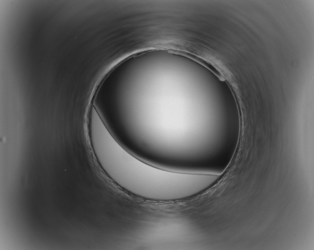 X0000089420960200706151001