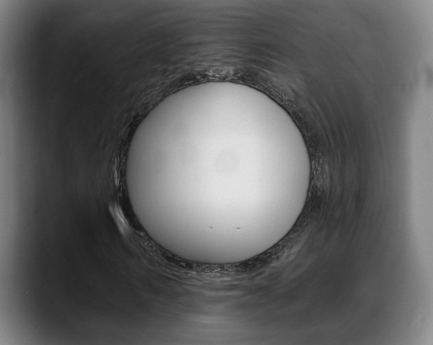 X0000089420962200706151000