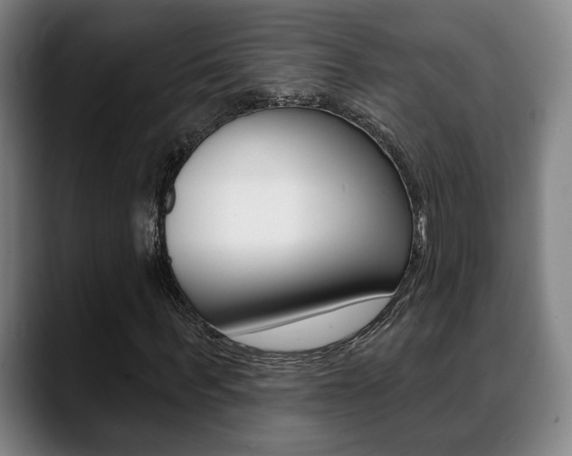 X0000089420963200706151000