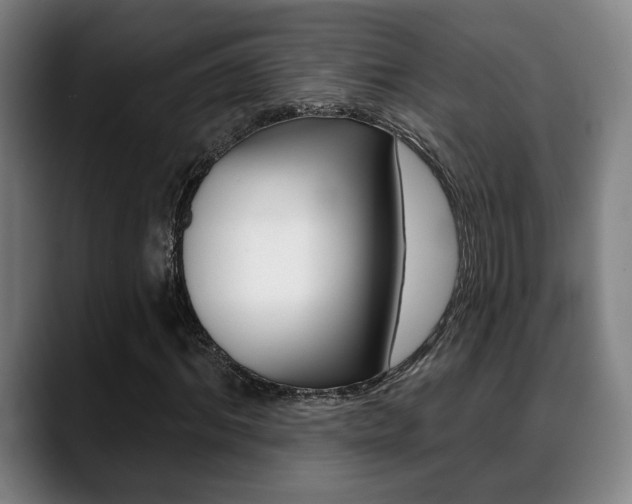 X0000089420964200706151000
