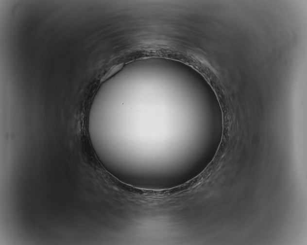 X0000089420965200706151000