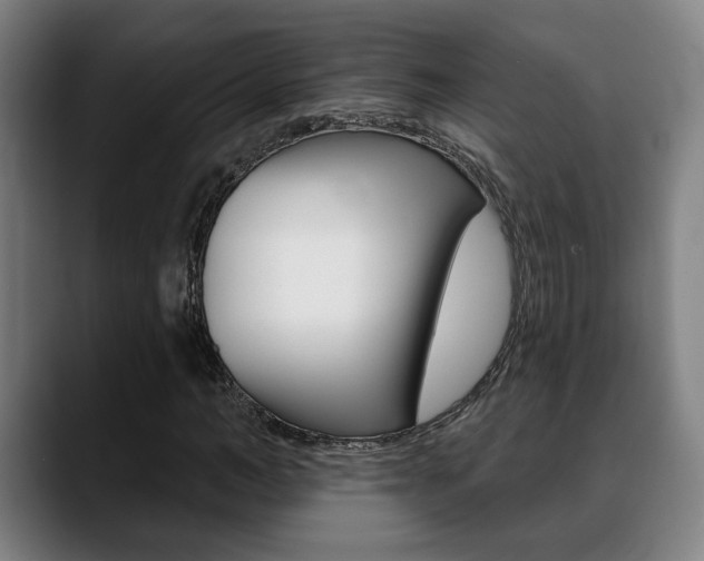 X0000089420966200706151000