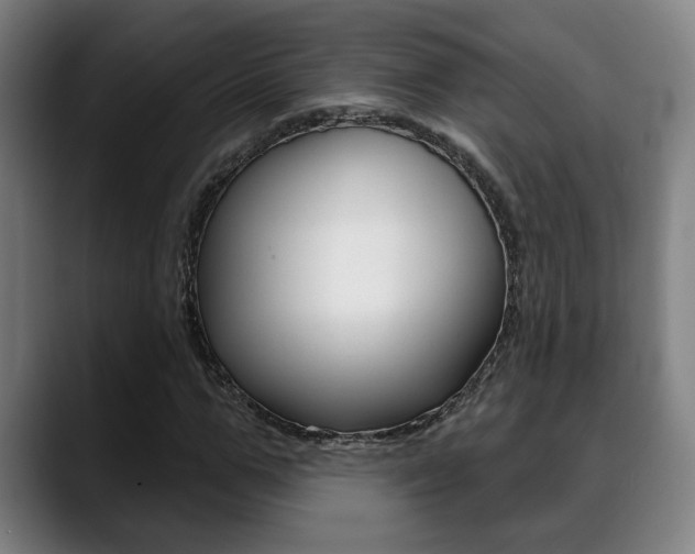 X0000089420967200706151000