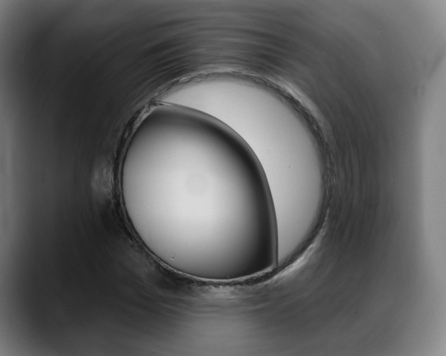 X0000089420969200706151000