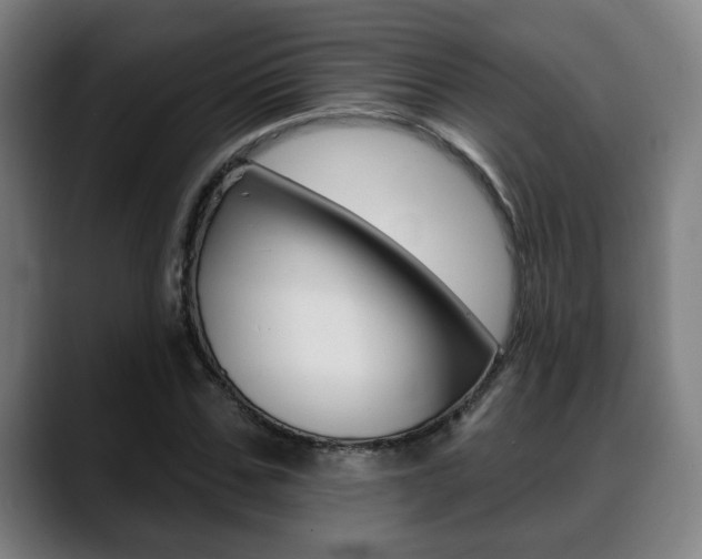 X0000089420971200706151000