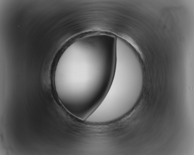 X0000089420972200706151000