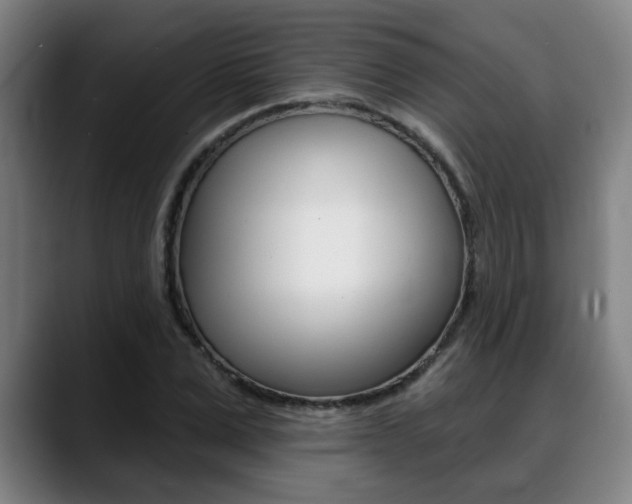 X0000089420975200706151000