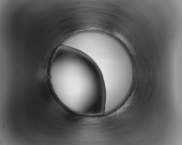 X0000089420977200706151000